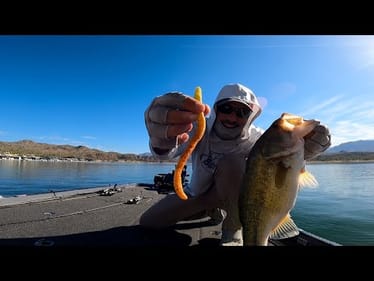 Is THIS What They’re Biting On!?