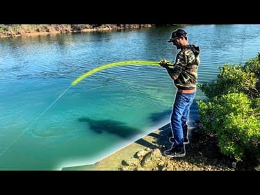 MONSTER FISH in SALTWATER SPILLWAY!! (5 SPECIES)