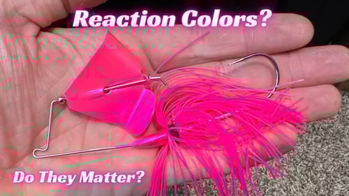 These COLORS Create Reaction Strikes From Bass!