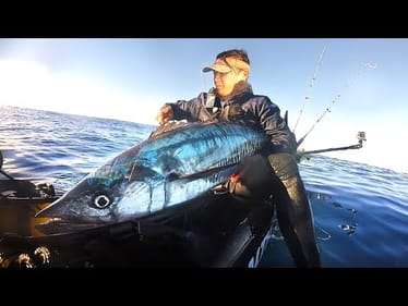 Something Special Happened! Freak GIANT Mackerel