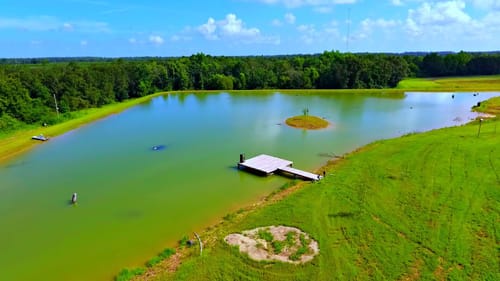 Building a 5 Acre Pond! (Mystery Fish Showed Up)