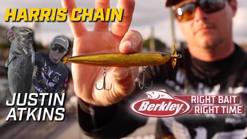 Berkley Right Bait at the Right Time at the Harris Chain for Justin Atkins