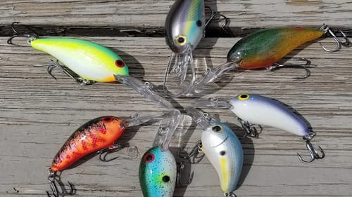 Crankbait Tips for Summer | Bass Fishing