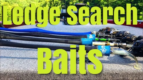 Deep Bass Search Baits