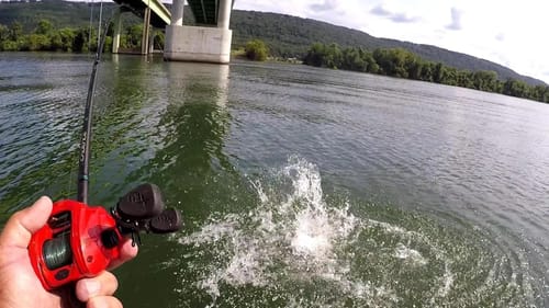 FISHING WITH BLUEGILL FOR CATFISH!!! Tips, Setup, Technique