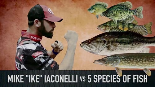 GOING IKE!!! Multi Species Fishing Challenge! (Ep. #5)