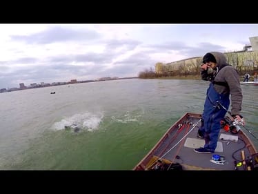 GIANT River Monster Landed In Washington D.C. -- Urban Fishing