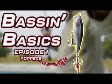 Bassin’ Basics - Episode 1 - ( POPPERS )