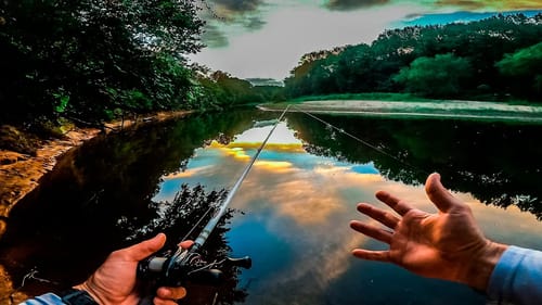 THESE Super SHALLOW River BASS Were IN THE WOOD!! || Summer River Fishing