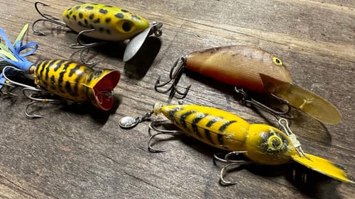 You’re Not Going To Like To Hear This News About Bass And Bass Fishing