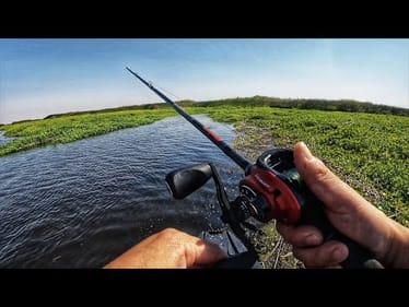 River Topwater Fishing fun