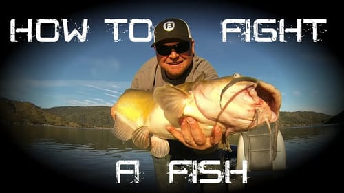 How to Fight a Fish