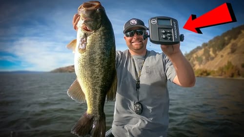 3 Tricks To Get Wayyyy More bites with a HydroWave
