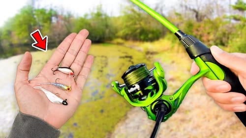 Micro Fishing SMALL Ponds for BIG Bass (Bank Fishing)