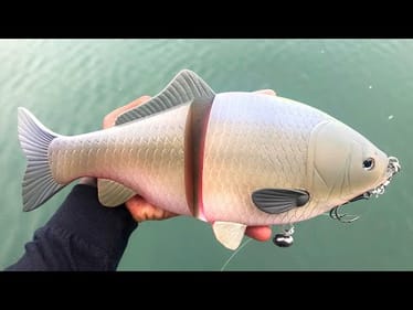I've Never Fished With A Lure This BIG Before! (Japan's Largest Lure!)