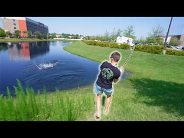Chasing Florida's Most INVASIVE Fish Species In BACKYARD PONDS! -- Casting Concrete PT. 3