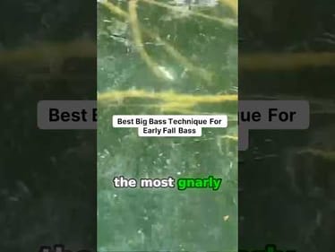 Big Bass Tip For Early Fall