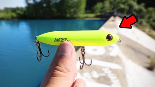 Crazy COLOR Topwater Fishing Challenge (Big Fish!)