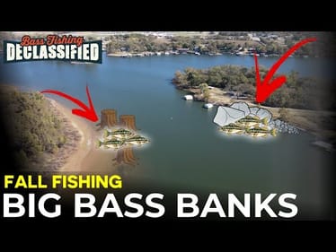 90% Of Big Bass Live On These 10% of Banks In the Fall