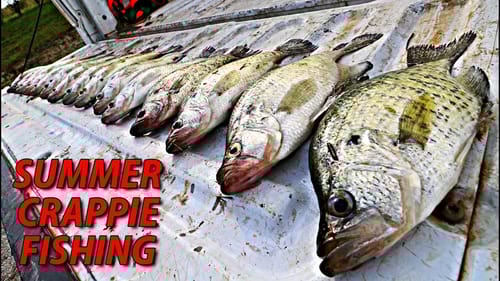 Catching HUGE CRAPPIE in the Summer! CRAPPIE JIGS