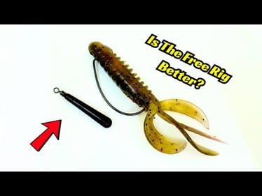 Is A Free Rig Better Than A Carolina Rig?