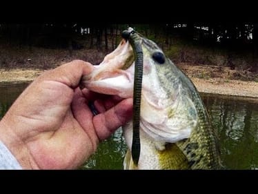 In-Depth Shaky Head Fishing Tips  with Mike Iaconelli