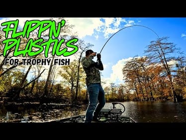 FLIPPING PLASTICS For TROPHY FISH On SHALLOW RIVER!!!