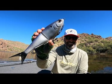 New Berkley Chop Block Swimbait!!