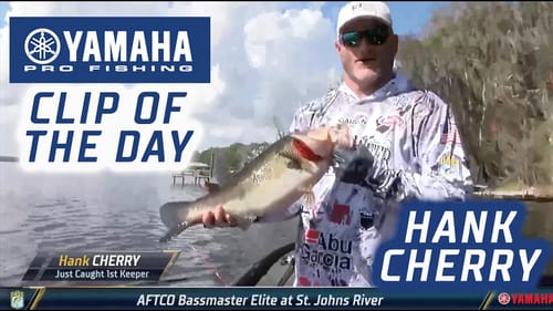 Yamaha Clip of the Day - Hank Cherry's 8 pounder on Day 1 at St. Johns