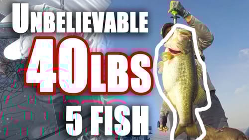 CHALLENGE 40lbs Bag Fishing BASS~ INSANE ~Unbelievable DAY