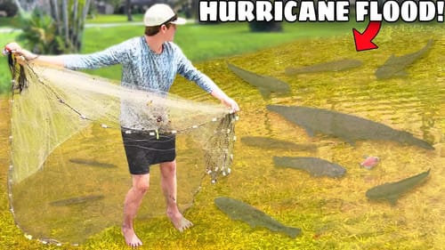Saving Invasive Fish TRAPPED in HURRICANE FLOOD!