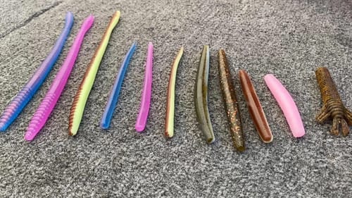 Best Worms for Spawing Bass
