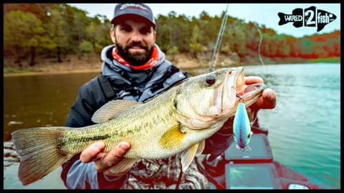 5 Crucial Tips for Fall Squarebill Crankbait Bass Fishing