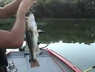 3+ lb Bass on Havoc Pit Boss