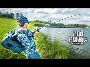 Fishing A LOADED Pond For Spring Bass! (200 Ponds Ep. 19)