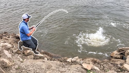 WHAT Lives in This Mysterious BUBBLING Spillway!?!