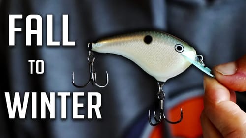 WINTER Transition ~ Best BAITS for November BASS