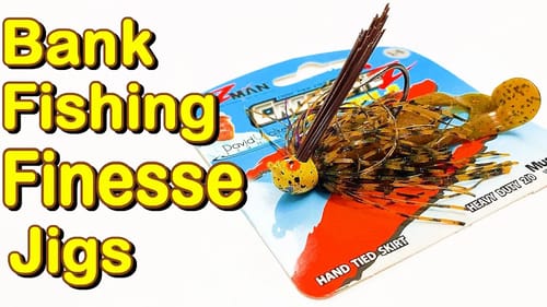 Finesse Jigs for Beginner Bank Anglers