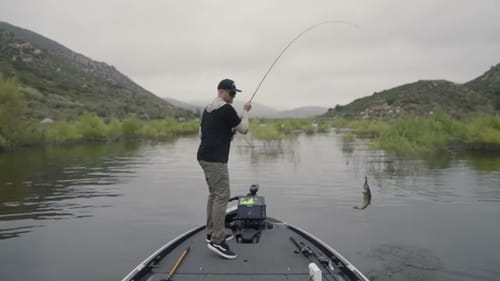 Swimbait Underground X Electric Eyewear Stacker