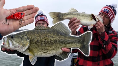 1 Last Cast from My Boat! Winter Bass Fishing Send Off.
