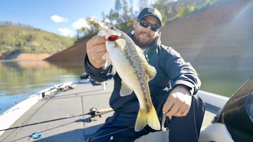 Fall Bass Fishing with Small Swimbaits