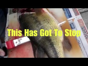 A Message To The Dudes That Still Put Knives To Bass…