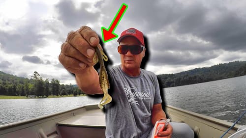 THIS Bass Fishing SECRET WINS Tournaments!!! (Catch Way More Bass!)