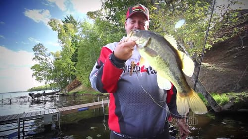 Best rod choices for multi-species fishing.