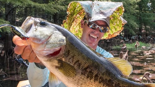 Bass Fishing in Frog Heaven