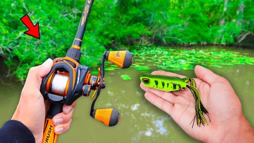 Catching GIANT Bass on FROGS in SMALL Ponds (Bank Fishing)