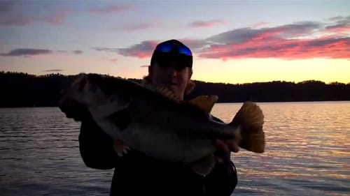 8 pound bass crushes a swimbait!