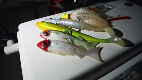 On the Hunt for Giant Fish