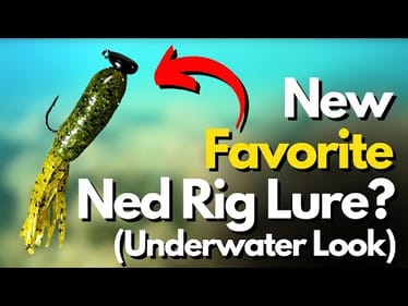 My NEW Favorite Ned Rig Lure? (Watch Underwater and SEE!)
