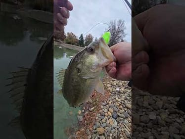 Who's still throwing rats?   😄 🤣 😂 #still #cold #morning